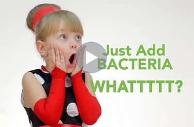 Just Add Bacteria Video Cover