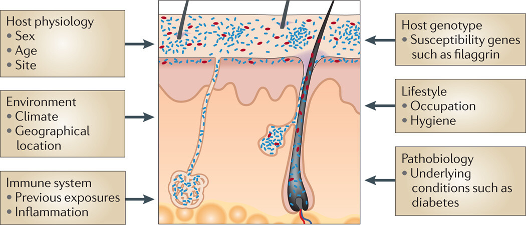 The Skin Biome - Figure 2